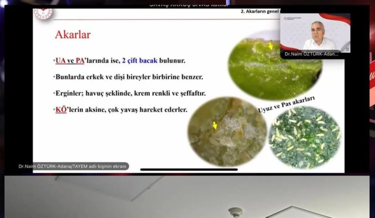 Tarım Danışmanlarına “Bağ ve Meyve Zararlılarında Arazi Pratikleri” Eğitimi