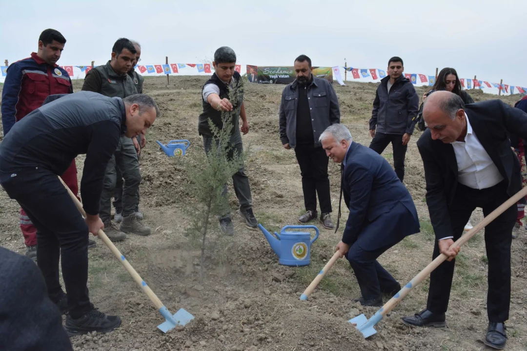 “Kaymakamlar ve Başkan Fidan Dikiminde Buluştu”