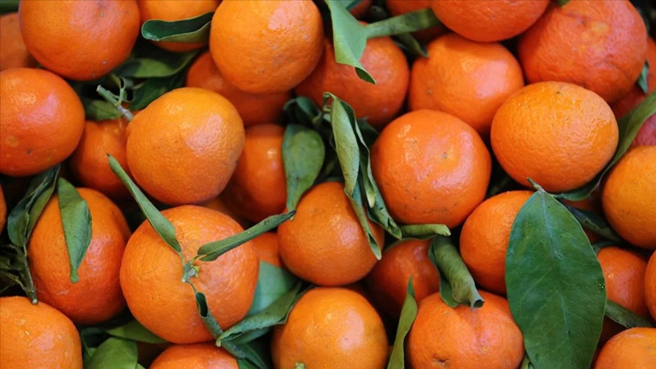 Çiftçiyi Sevindiren Yağış: Tarlalar Suya Doydu