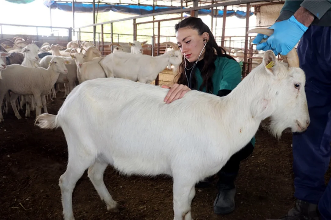 Hem Mesleğini Yapıyor Hem Babasının Emanetini Yaşatıyor