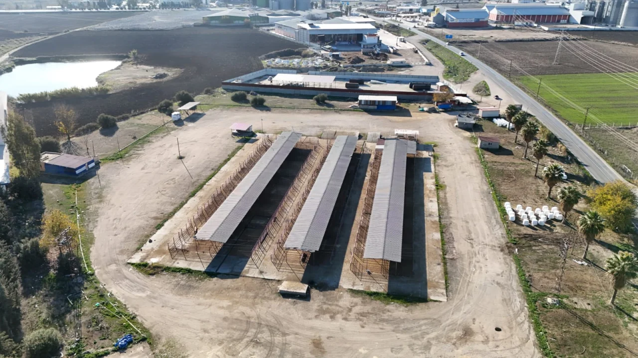 Ceyhan’da Kamu Malına Sahip Çıkıldı: 700 Milyonluk Satış Durduruldu