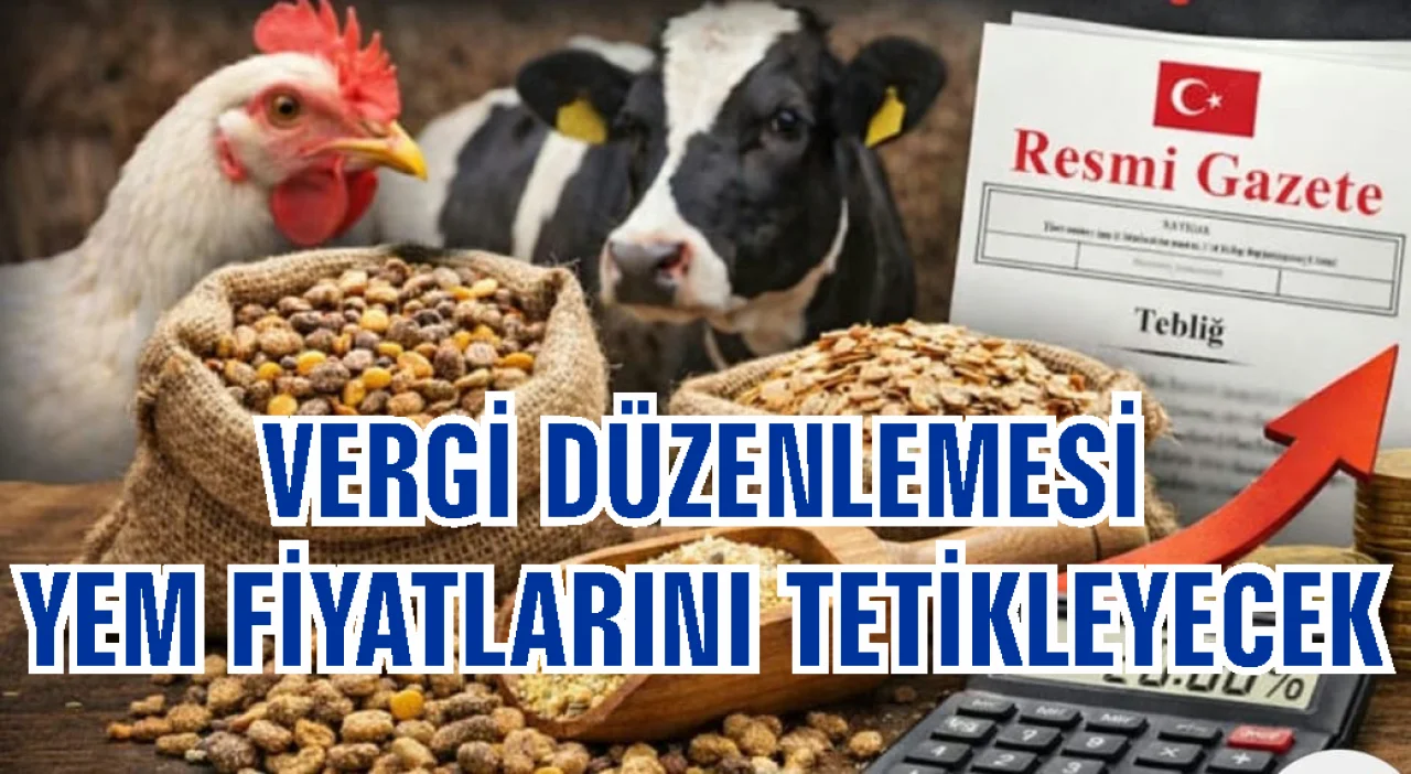 Hayvancılıkta Yeni Vergi Yükü: Yem Maliyetleri Yükseliyor