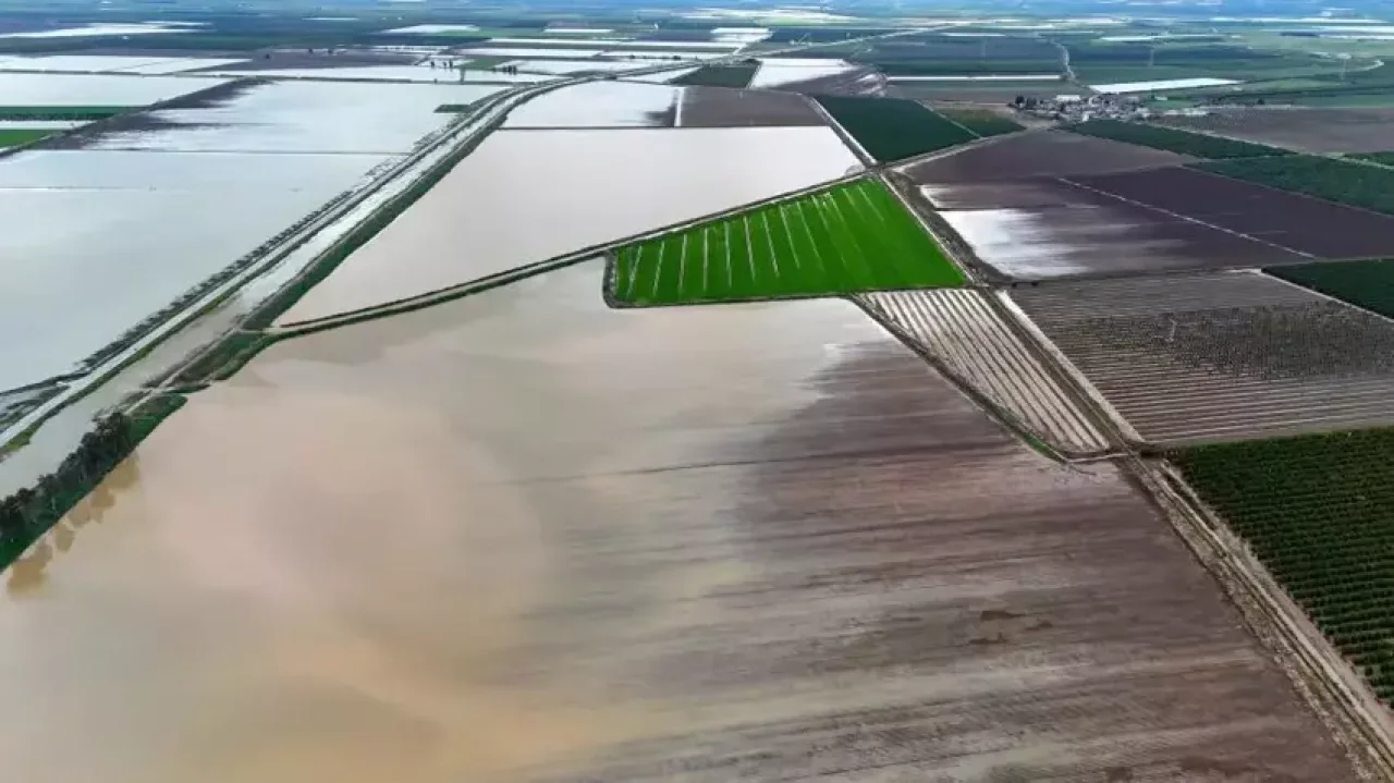 TARSİM Çıkmazı: Mısır Üreticisi Sigorta Kapsamı Dışında mı Kalıyor?