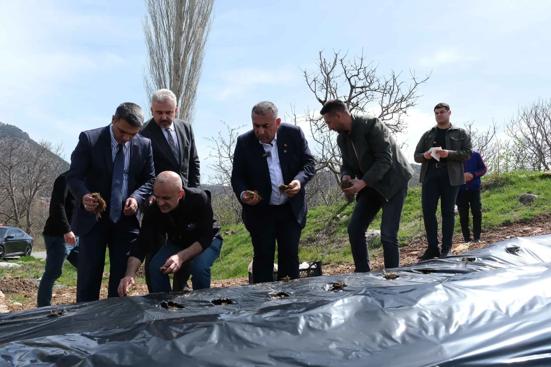 Pozantı’da Sosyal Belediyecilik Rüzgarı: Üreticiye 4 Milyonuncu Fide Desteği