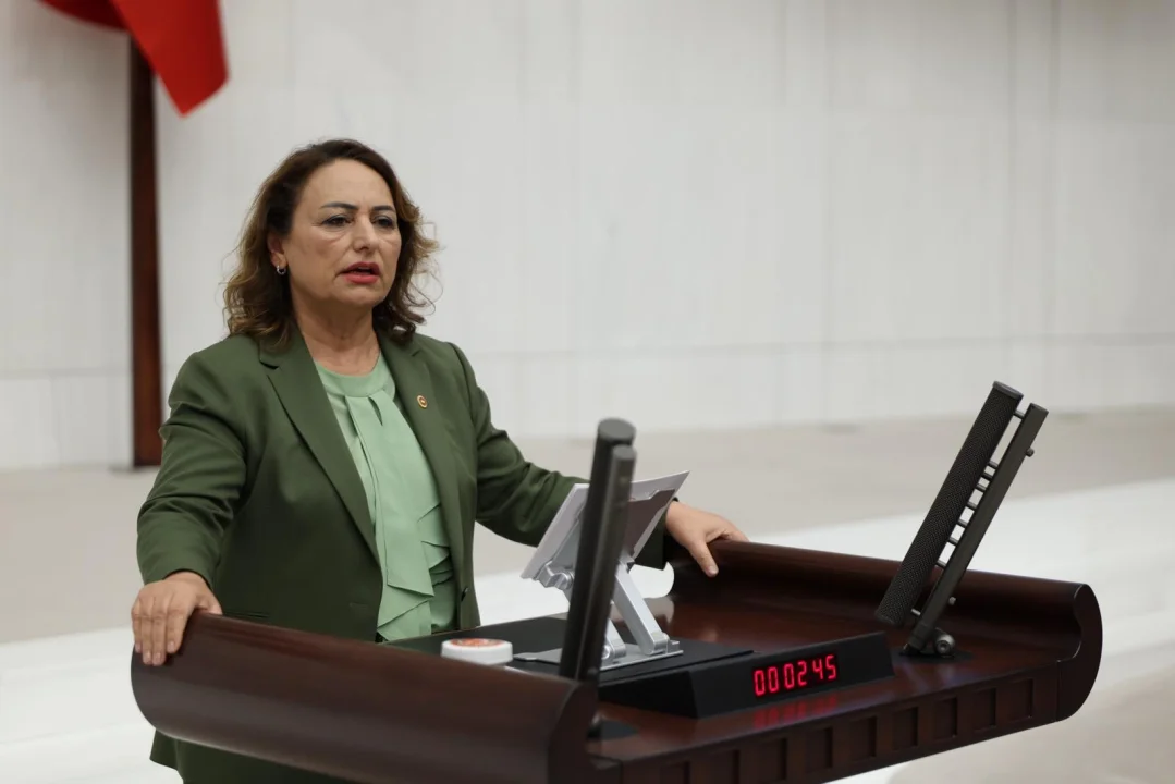 CHP Adana Milletvekili Şevkin: 