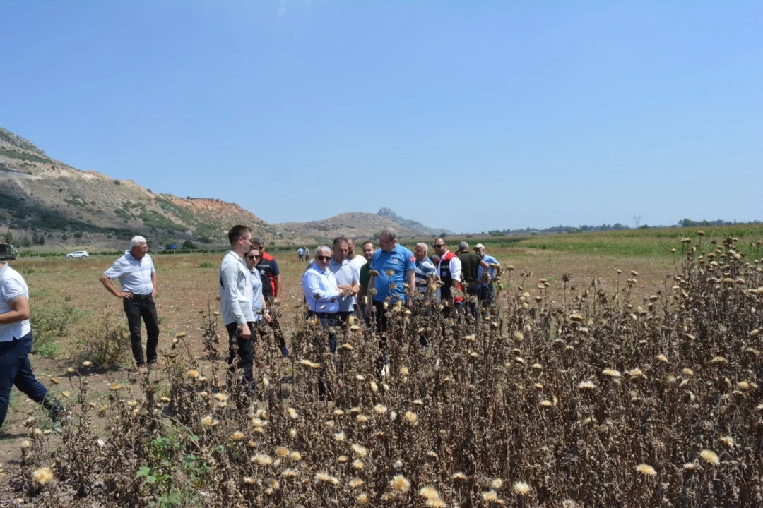 Kaymakam Kurtyemez, Ağaçpınar’da Alternatif Tarım Ürünleri Hasadına Katıldı