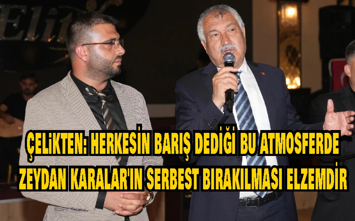 Çelikten: Bu barış ortamında Zeydan Karalar'ın serbest bırakılması önemlidir