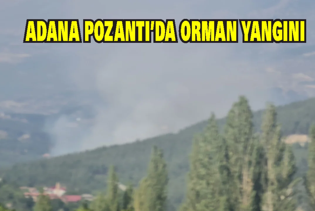 Adana’nın Pozantı İlçesinde Orman Yangını